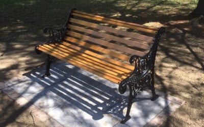 Lesley Strutt Poetry Prize and Bench ~ Update