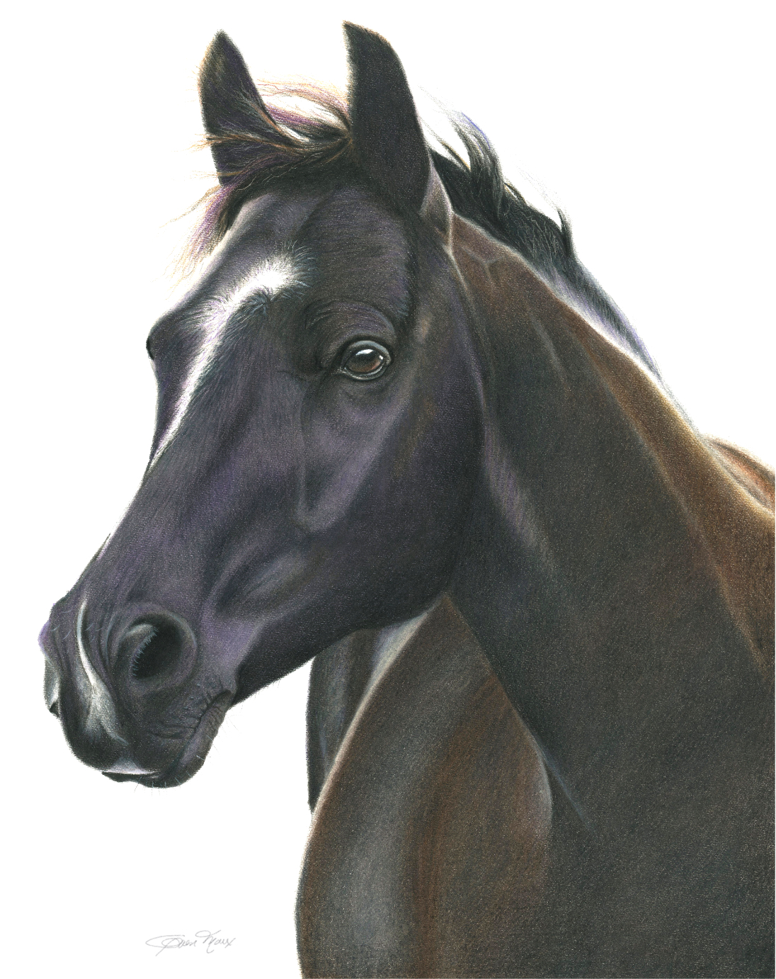 image1 Art by Ardis Lerner